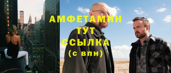 прущие крисы Ельня