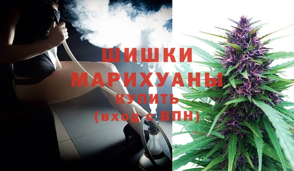 метадон Заводоуковск