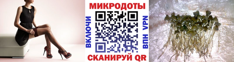 Галлюциногенные грибы MAGIC MUSHROOMS  Камешково 